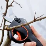 Comment utiliser un sécateur électrique ?