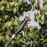 sécateur télescopique électrique perche infaco