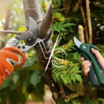 secateur electrique professionnel vs amateur