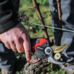 definition secateur electrique