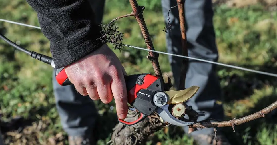 definition secateur electrique